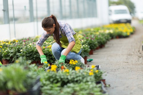 Eco-friendly gardening practices in a St Ives garden