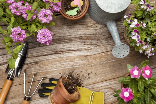 Lush garden with diverse plants representing Ben Gardening