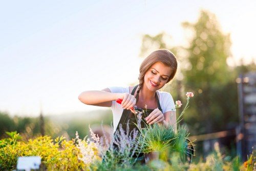 Professional gardening team designing a garden in Niddrie