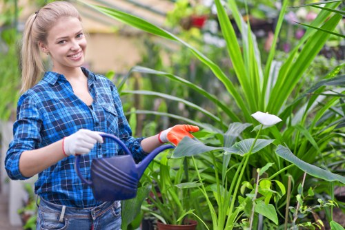 Modern irrigation system installed by Ellenbrook gardening experts