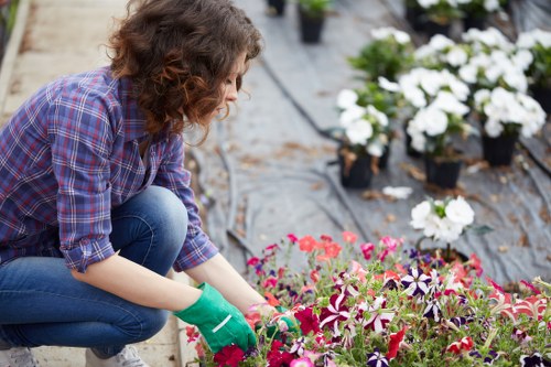 Professional gardener maintaining a lush Pascoe Vale garden