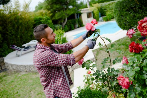 Lush lawn care services being performed in Elwood