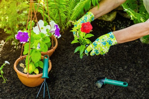 Beautiful garden transformation in Noranda