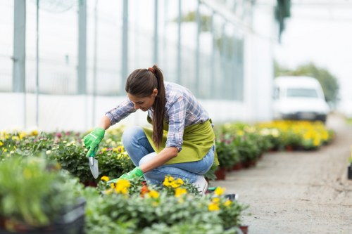 Beautifully maintained garden showcasing professional gardening services