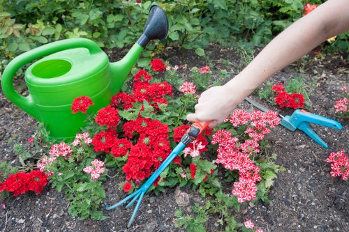 Healthy soil preparation in Ben Gardening