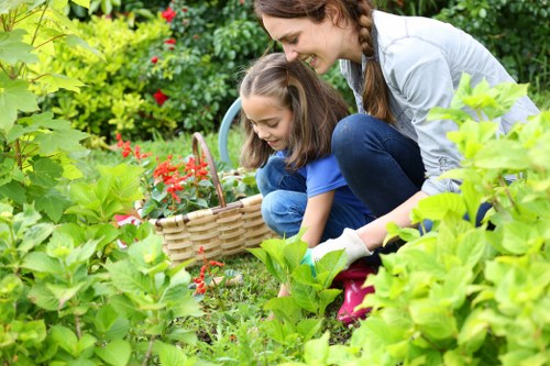 Seasonal gardening activities in Nudgee