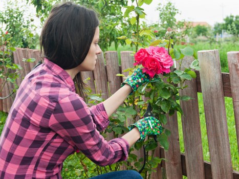 Efficient irrigation system used in Ben Gardening