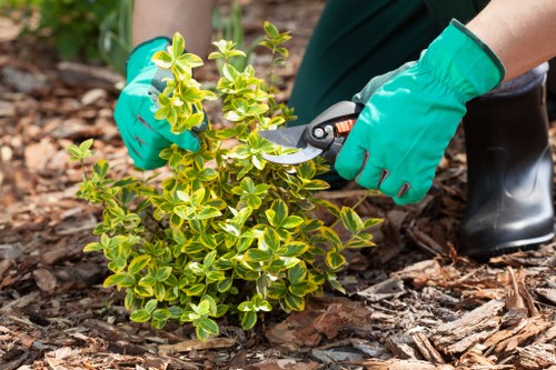 Pruning tools essential for Ben Gardening maintenance