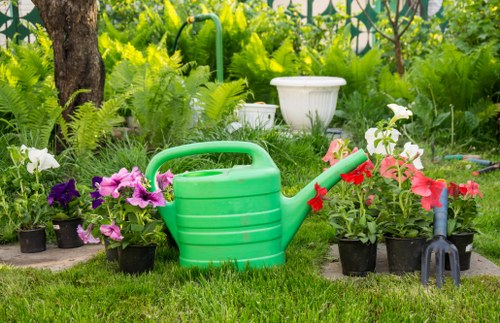 Beautifully landscaped garden in Inglewood