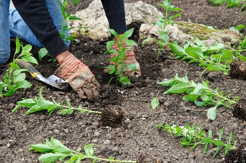 Innovative landscaping solutions in St Lucia