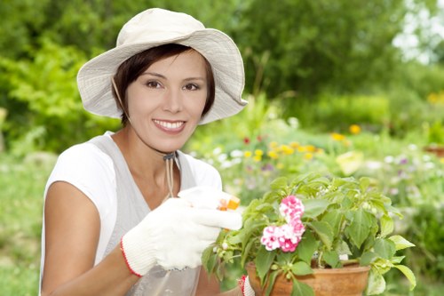 Expert pruning and garden maintenance in Double Bay