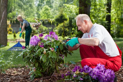 Professional gardeners maintaining a garden