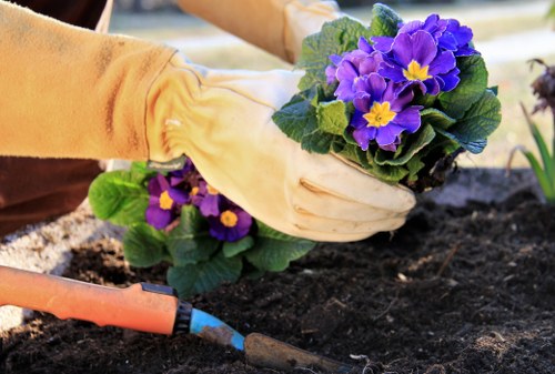 Sustainable gardening practices in action