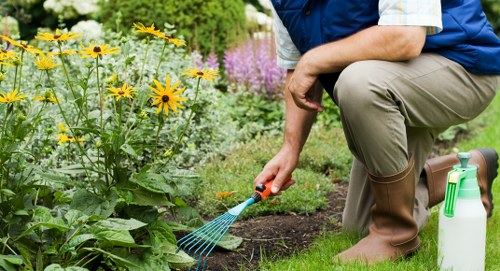 Professional lawn maintenance services in Penrith