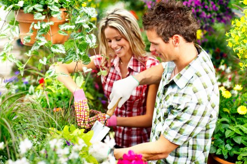 Eco-friendly irrigation system installation