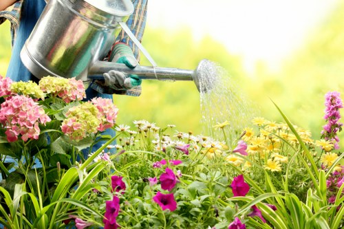 Sustainable landscaping practices with smart irrigation system