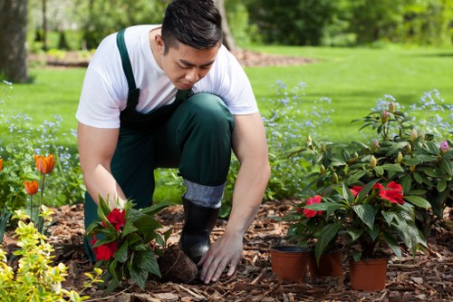 Gardener performing spring pruning on shrubs