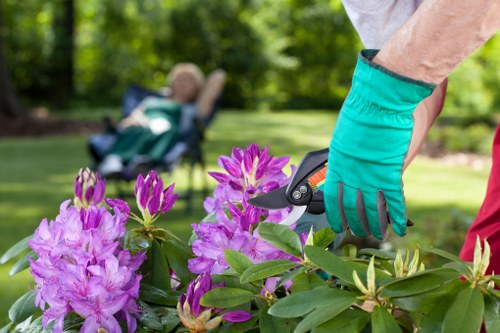 Well-maintained garden showcasing professional gardening services