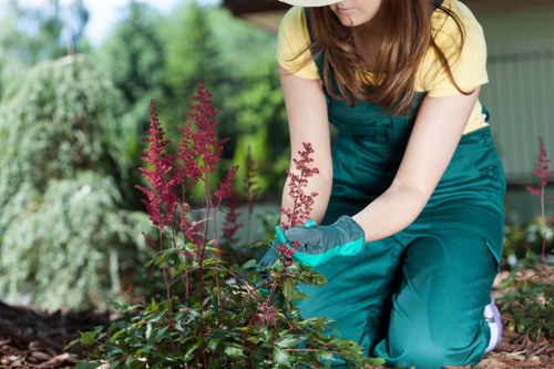 Creative garden design and planting