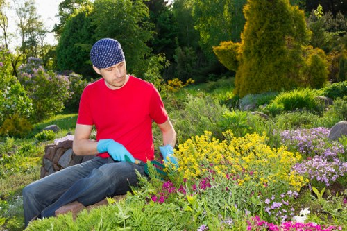 Well-maintained lawn and shrubs