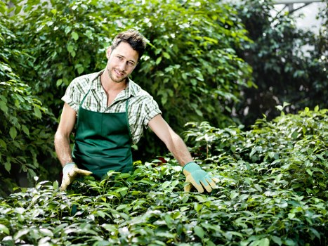 Eco-friendly gardening practices being implemented