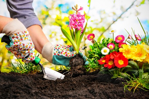 Eco-friendly gardening practices in action