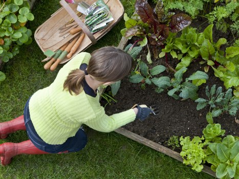 Climate considerations for Ben Gardening