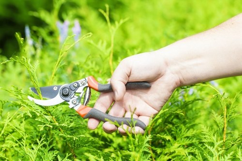 Lush garden with diverse plant species