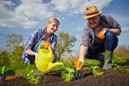 Professional gardeners working on a landscape design