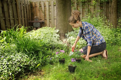 Challenges in garden clearance managed by experts