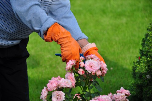 Lush lawn and vibrant plants maintained by Denistone gardening experts