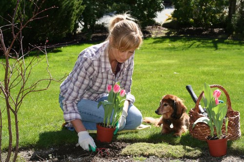 Garden with seasonal flowers and features in Ben