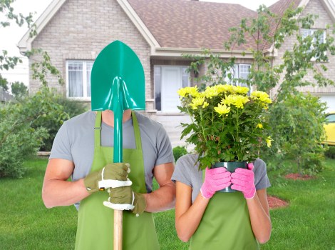 Comprehensive gardening services including planting and irrigation