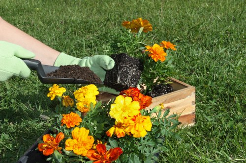 Garden installation with vibrant flowers