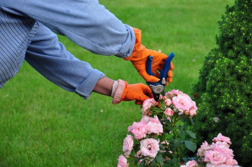 Eco-friendly gardening practices in a Gladesville garden