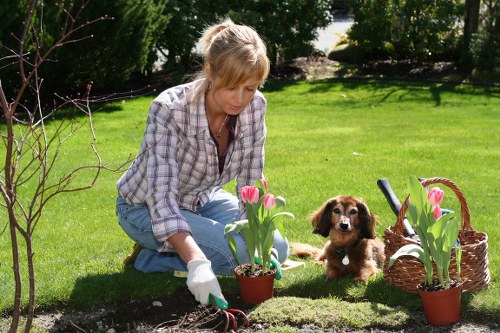 Custom garden design tailored for Penrith homes