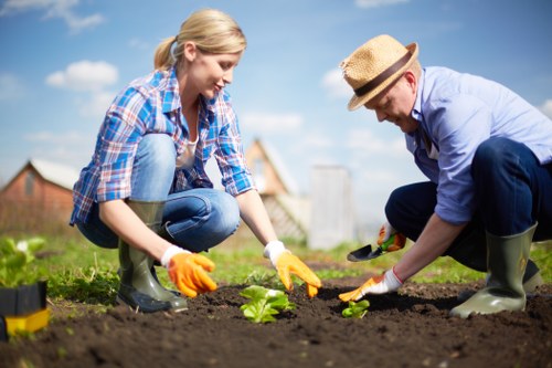 Eco-friendly gardening practices in Red Hill