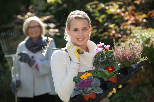 Diverse plant selection in a Milsons Point garden