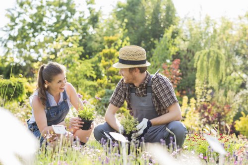 Healthy plants and flowers in a Melton South garden